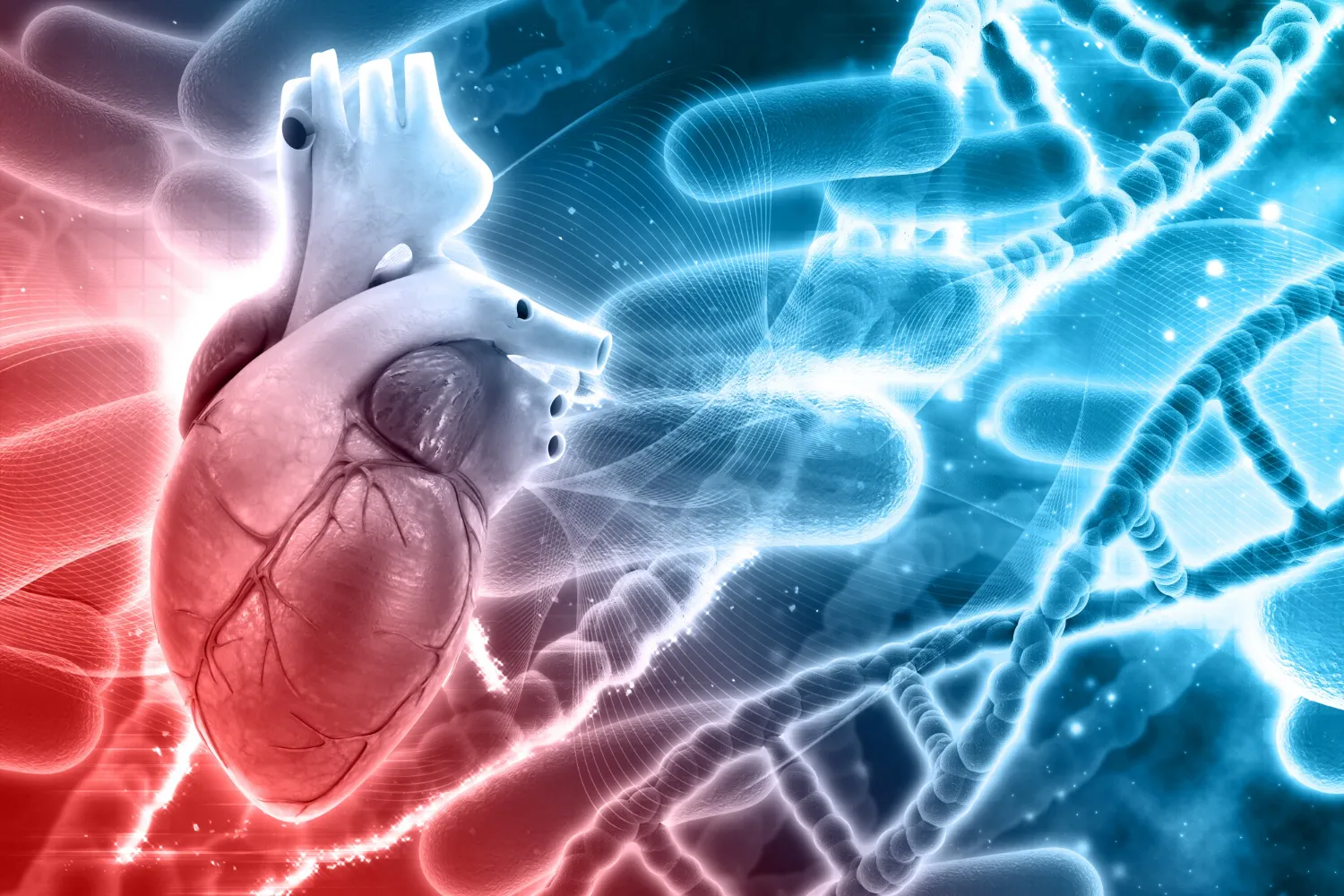Corazón humano en primer plano con un fondo abstracto que representa ADN y bacterias, simbolizando la interconexión entre la biología y la salud cardiovascular.